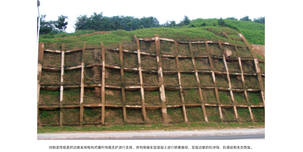 亚洲精品白浆高清久久久久久