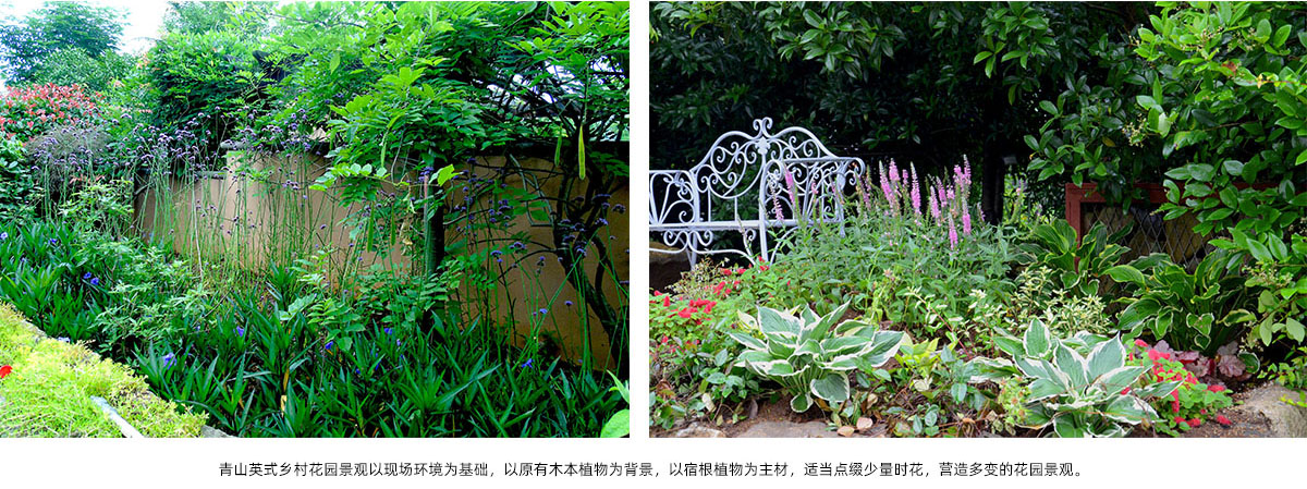 亚洲精品白浆高清久久久久久