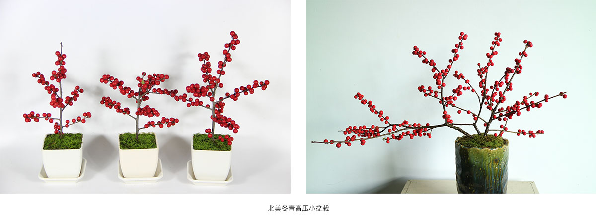 亚洲精品白浆高清久久久久久