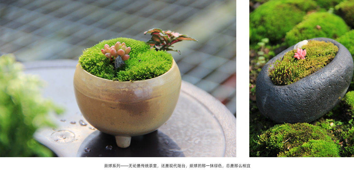 亚洲精品白浆高清久久久久久