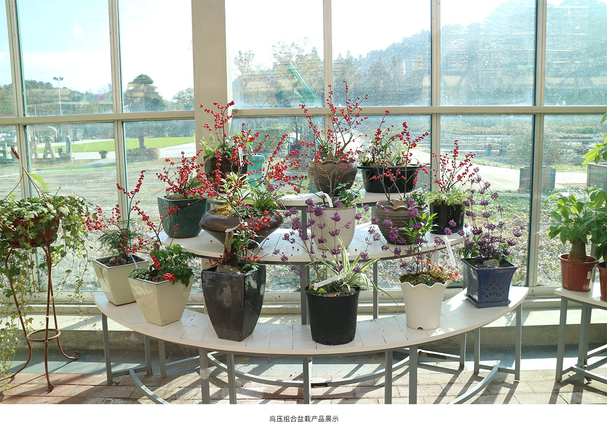 亚洲精品白浆高清久久久久久