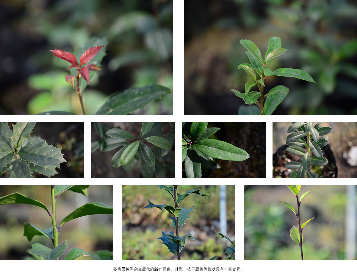 亚洲精品白浆高清久久久久久