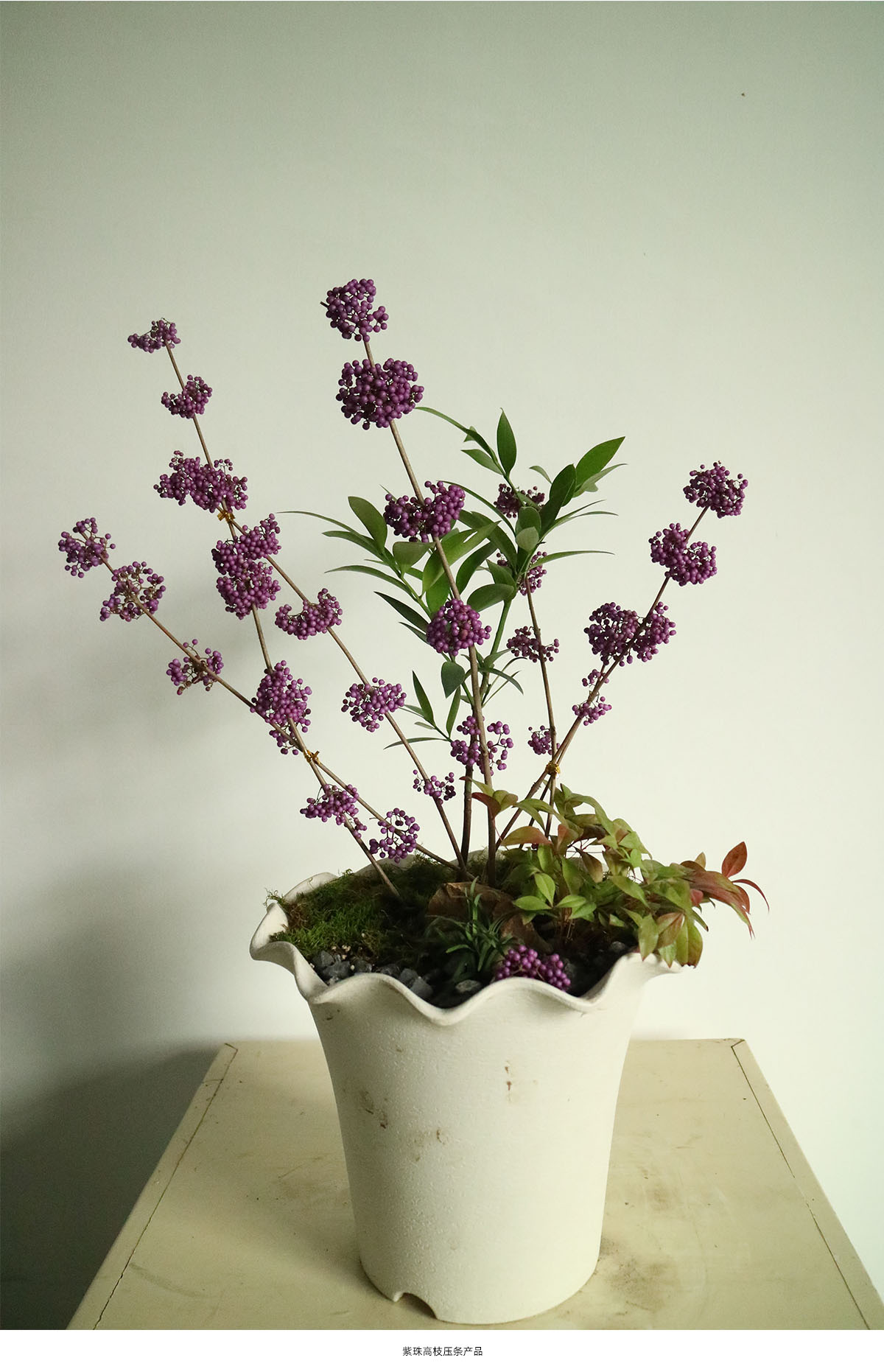 亚洲精品白浆高清久久久久久