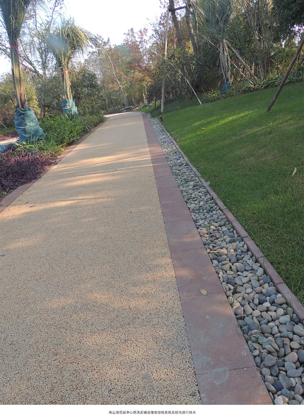 亚洲精品白浆高清久久久久久