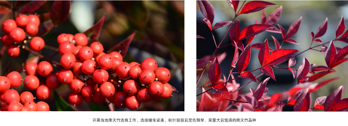 亚洲精品白浆高清久久久久久