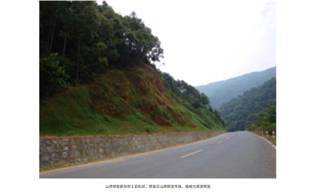 亚洲精品白浆高清久久久久久