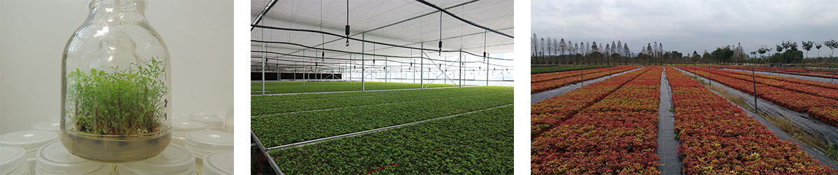 亚洲精品白浆高清久久久久久