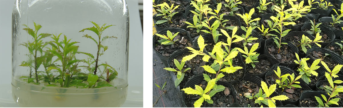 亚洲精品白浆高清久久久久久