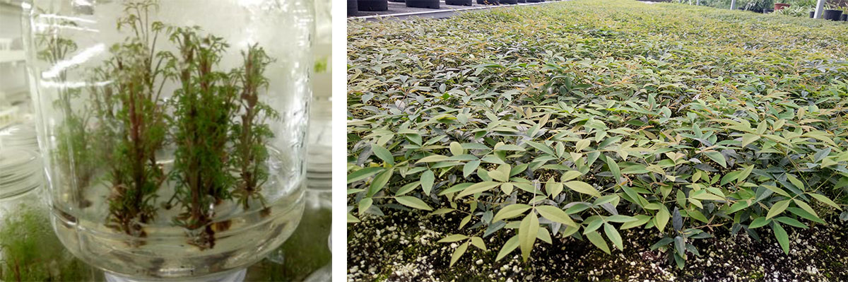 亚洲精品白浆高清久久久久久