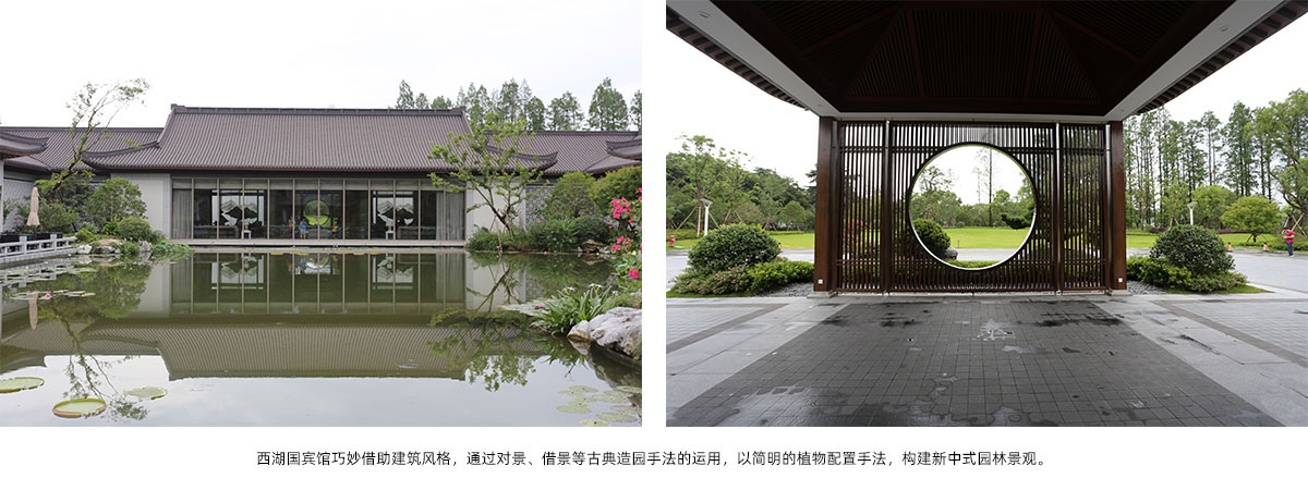 亚洲精品白浆高清久久久久久