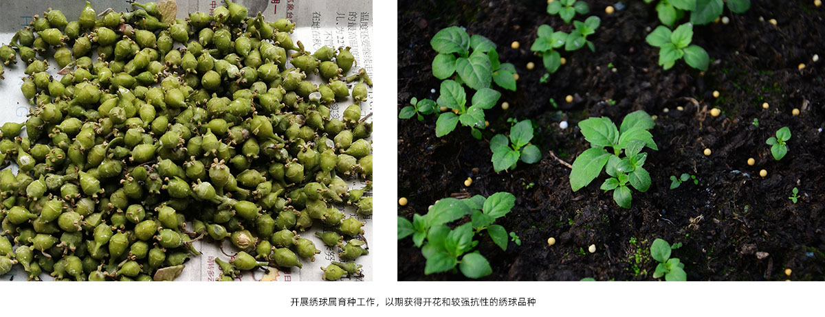 亚洲精品白浆高清久久久久久