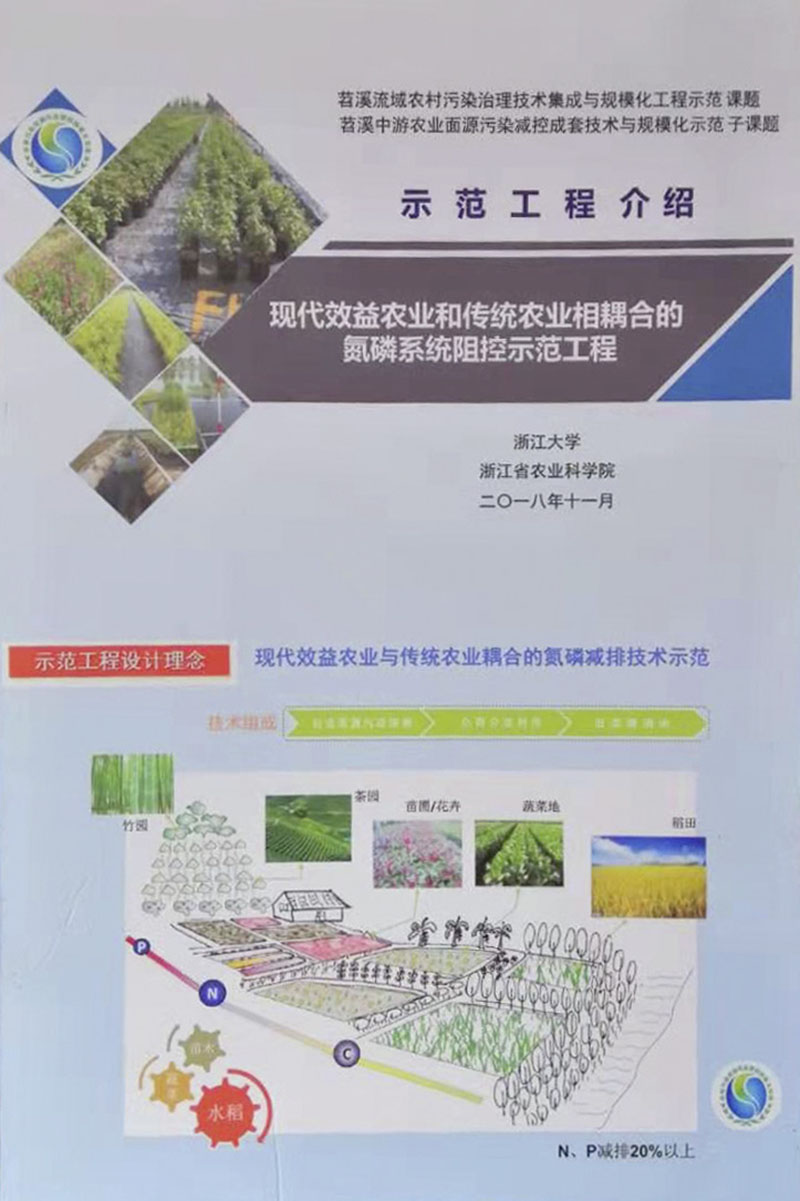 亚洲精品白浆高清久久久久久