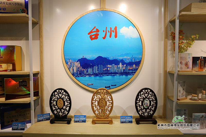 亚洲精品白浆高清久久久久久