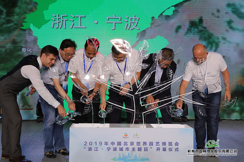 亚洲精品白浆高清久久久久久