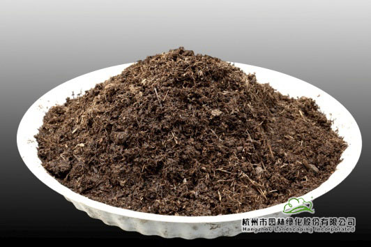 亚洲精品白浆高清久久久久久