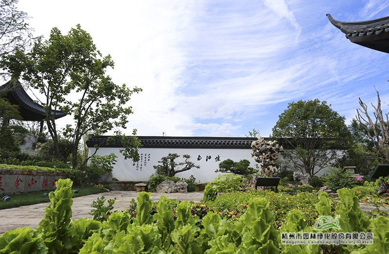 亚洲精品白浆高清久久久久久