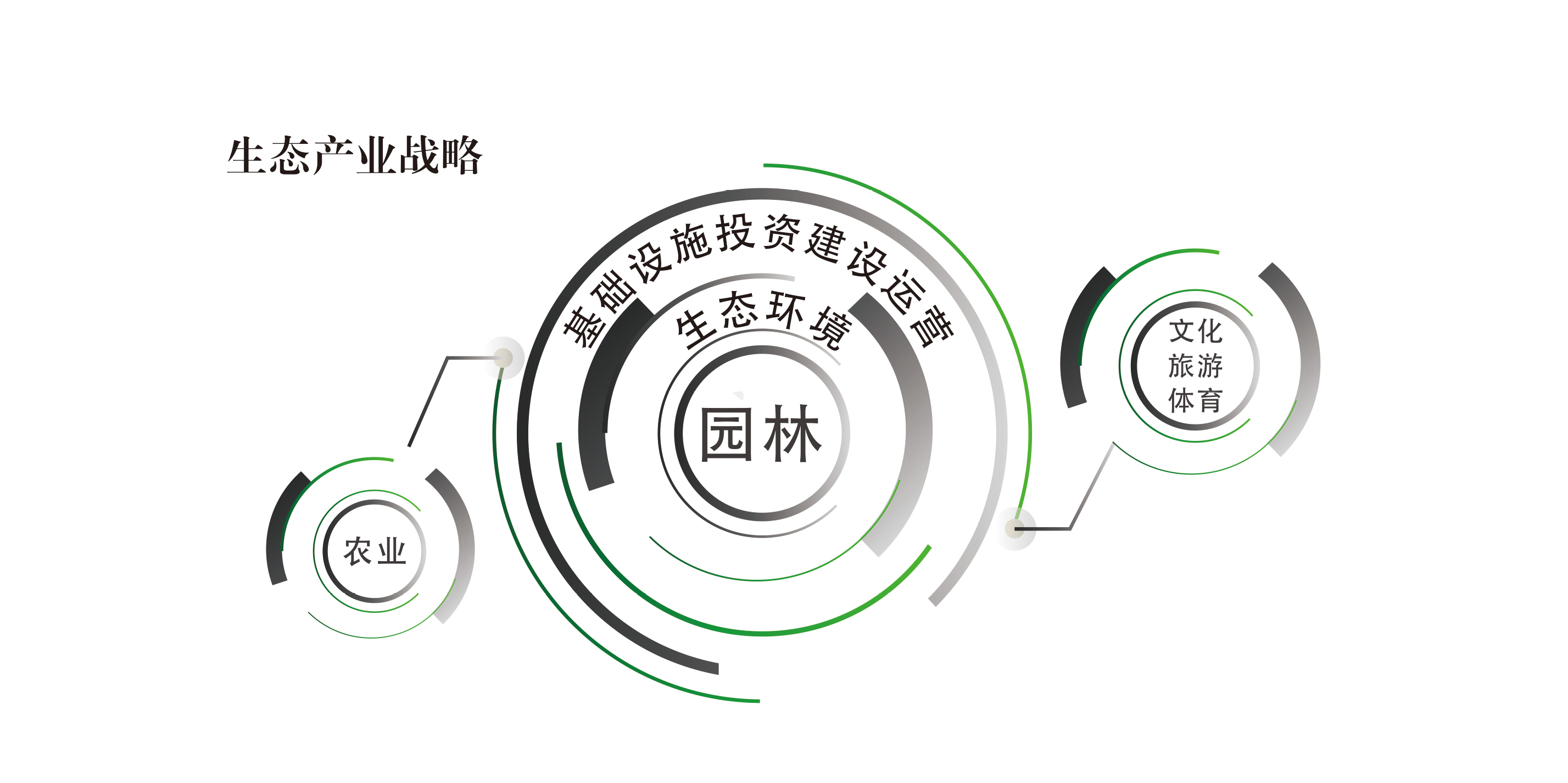 亚洲精品白浆高清久久久久久