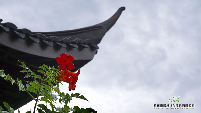 亚洲精品白浆高清久久久久久