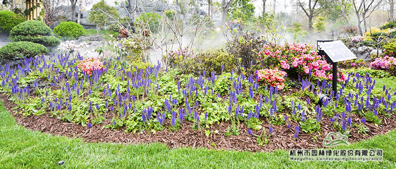 亚洲精品白浆高清久久久久久