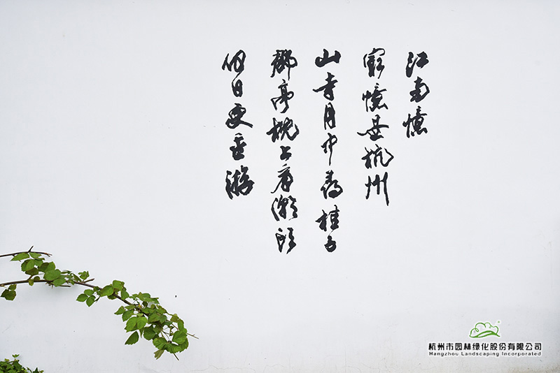 亚洲精品白浆高清久久久久久