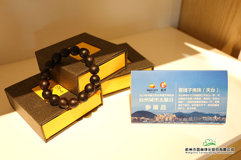 亚洲精品白浆高清久久久久久