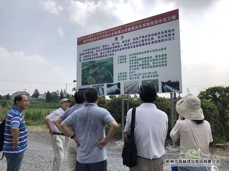 亚洲精品白浆高清久久久久久