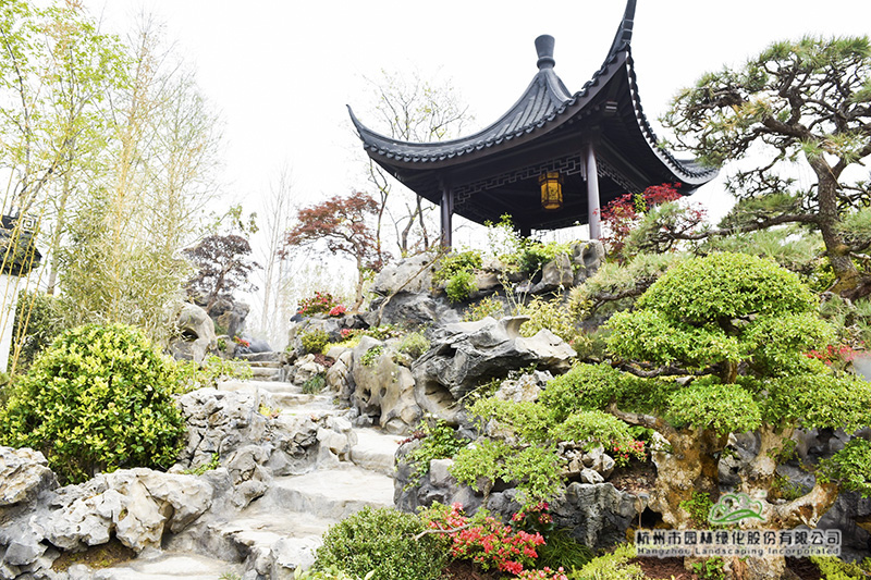 亚洲精品白浆高清久久久久久