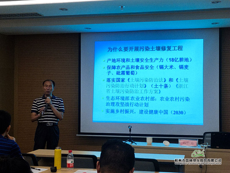 亚洲精品白浆高清久久久久久