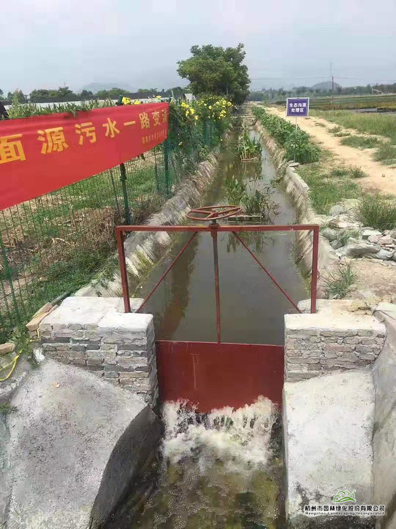 亚洲精品白浆高清久久久久久