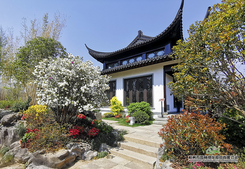 亚洲精品白浆高清久久久久久