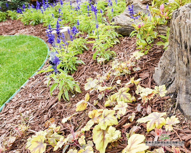 亚洲精品白浆高清久久久久久