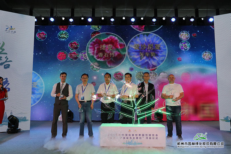 亚洲精品白浆高清久久久久久