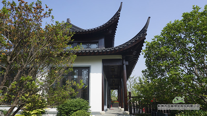 亚洲精品白浆高清久久久久久