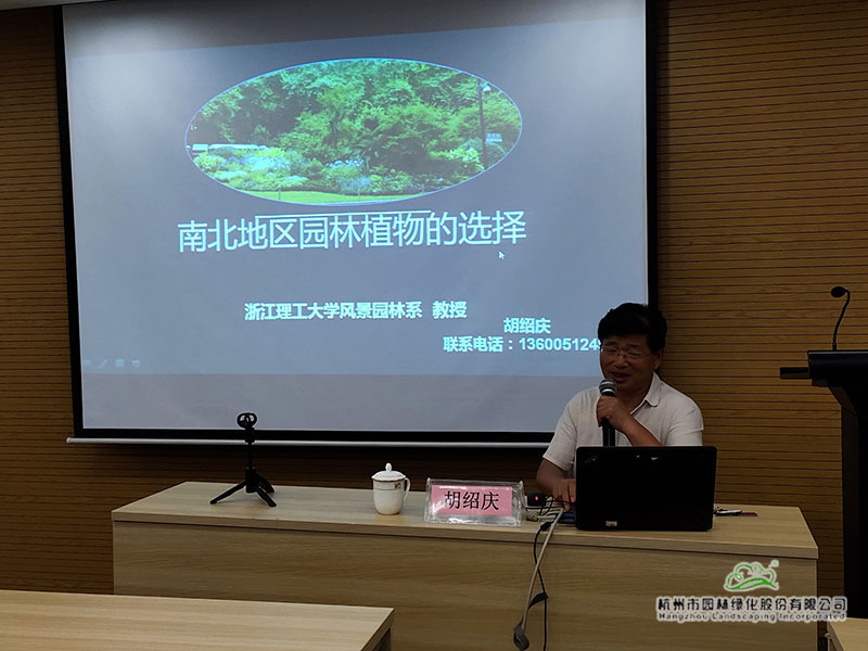 亚洲精品白浆高清久久久久久