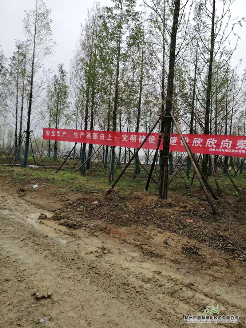 亚洲精品白浆高清久久久久久