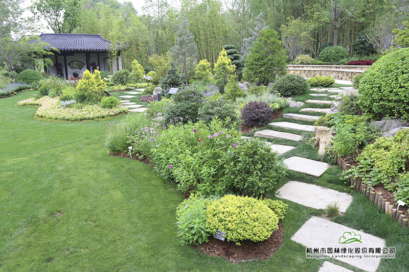 亚洲精品白浆高清久久久久久