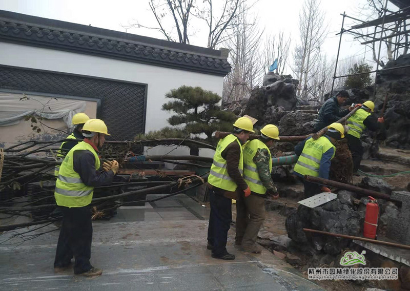 亚洲精品白浆高清久久久久久