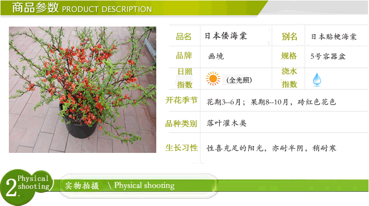 亚洲精品白浆高清久久久久久