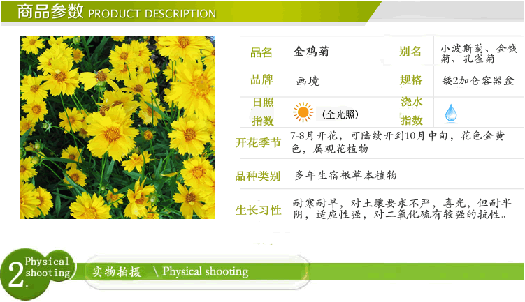 亚洲精品白浆高清久久久久久