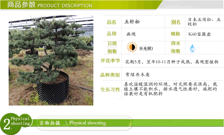 亚洲精品白浆高清久久久久久