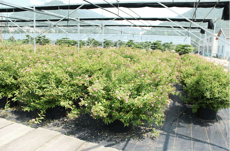 亚洲精品白浆高清久久久久久