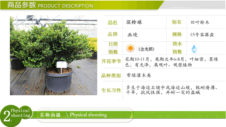 亚洲精品白浆高清久久久久久