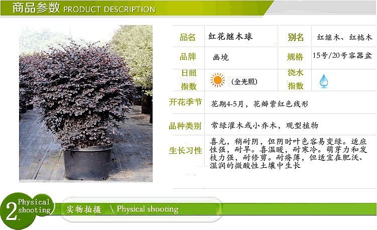 亚洲精品白浆高清久久久久久