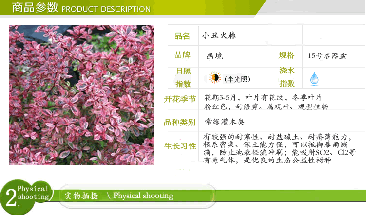 亚洲精品白浆高清久久久久久