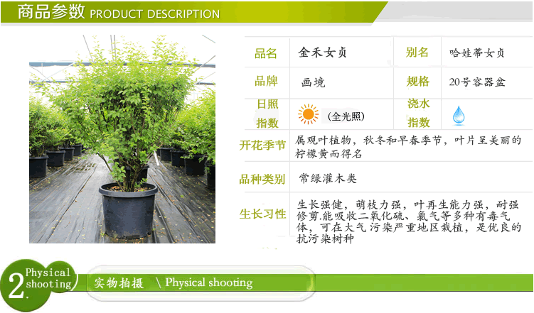 亚洲精品白浆高清久久久久久