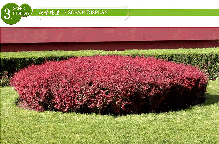 亚洲精品白浆高清久久久久久