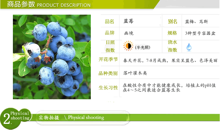 亚洲精品白浆高清久久久久久