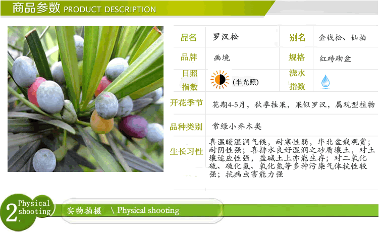 亚洲精品白浆高清久久久久久