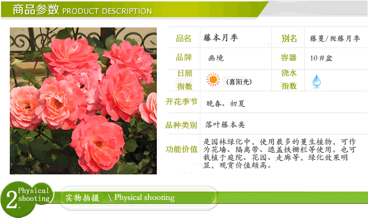 亚洲精品白浆高清久久久久久