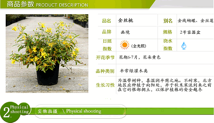 亚洲精品白浆高清久久久久久